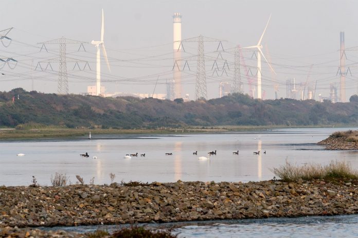 Natuur haven recreatie